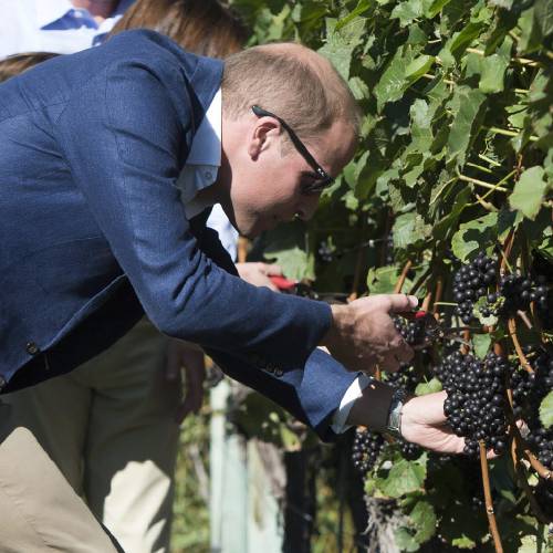 PHOTOS Prince William and Kate's Vancouver tour