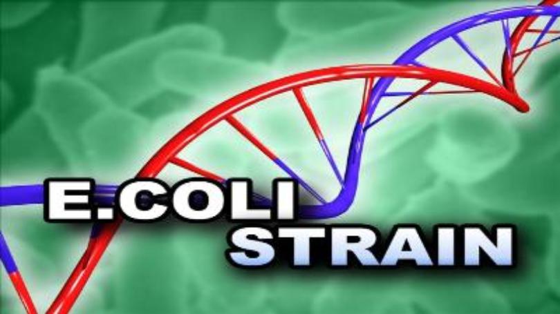 Multistate E. coli outbreak leads to meat recall
