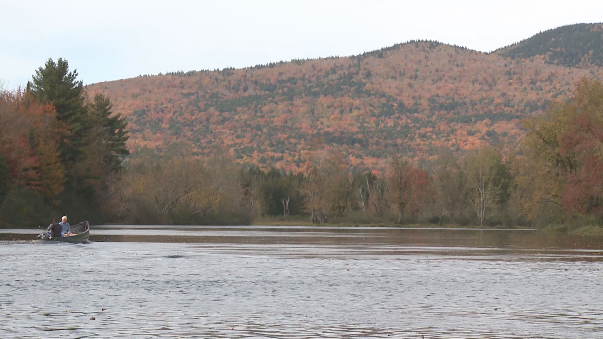 Burt's Bees Founder Sees a Dream Fulfilled in Maine