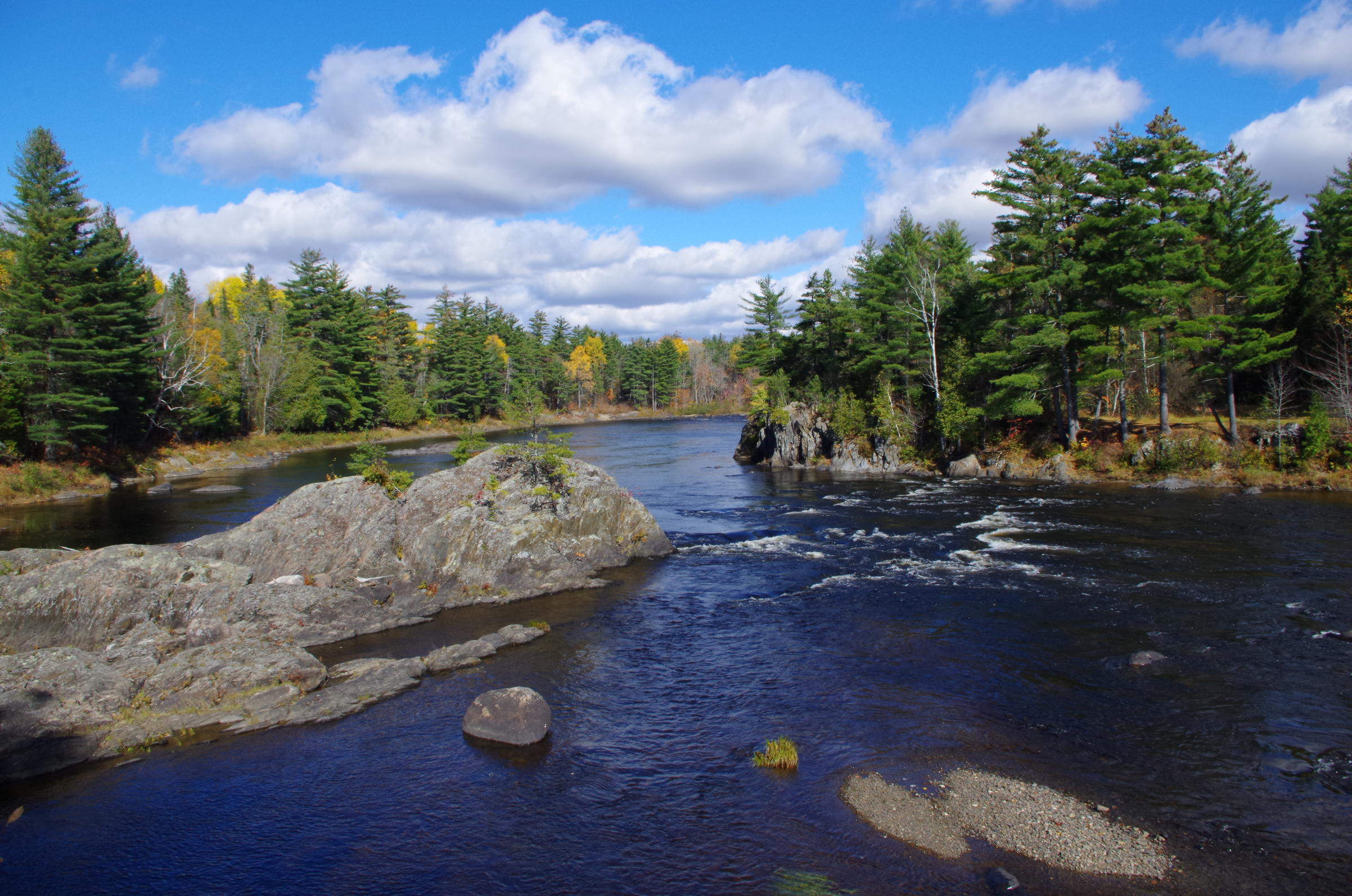 Burt's Bees Founder Sees a Dream Fulfilled in Maine