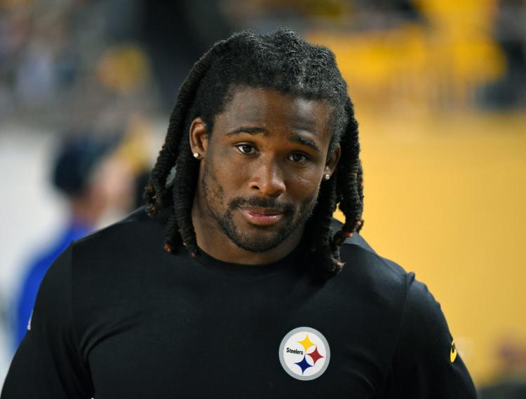 Steelers' Williams defends 75-cent tip to pizzeria server