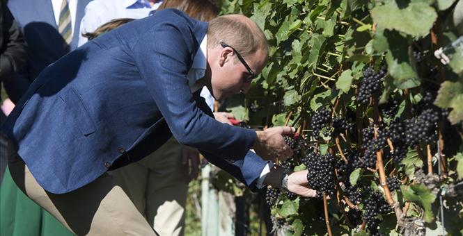PHOTOS Prince William and Kate's Vancouver tour