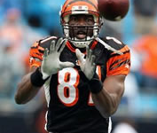 NFL Week 4: Cincinnati Bengals vs Cleveland Browns Sportsbook odds and predictions