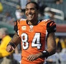 Oakland Raiders sign veteran wide receiver TJ Houshmandzadeh